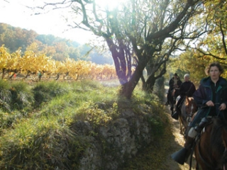  Passeios a cavalo e passeios a cavalo Ardeche 